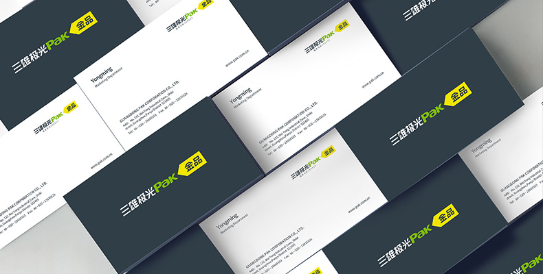 三雄極光-上市品牌命名，VI設(shè)計(jì)，LOGO設(shè)計(jì)